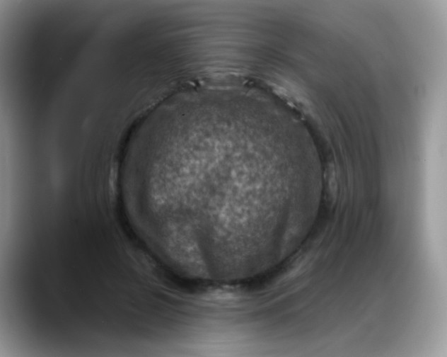 X0000088190550200705292014