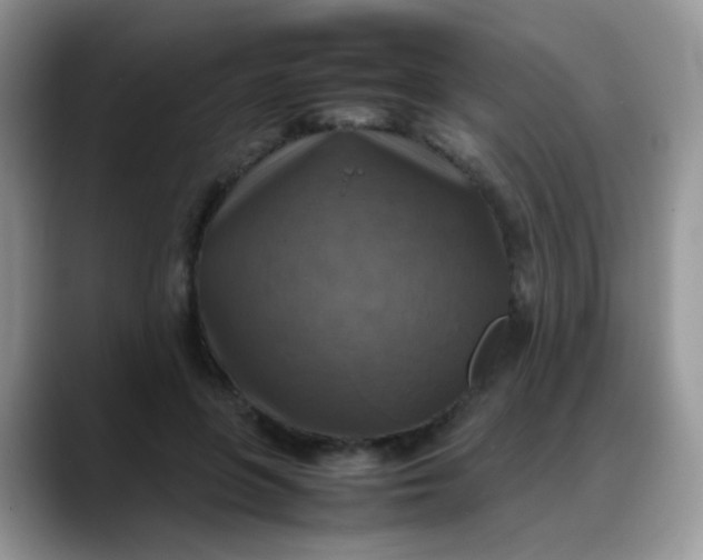 X0000088190551200705292014
