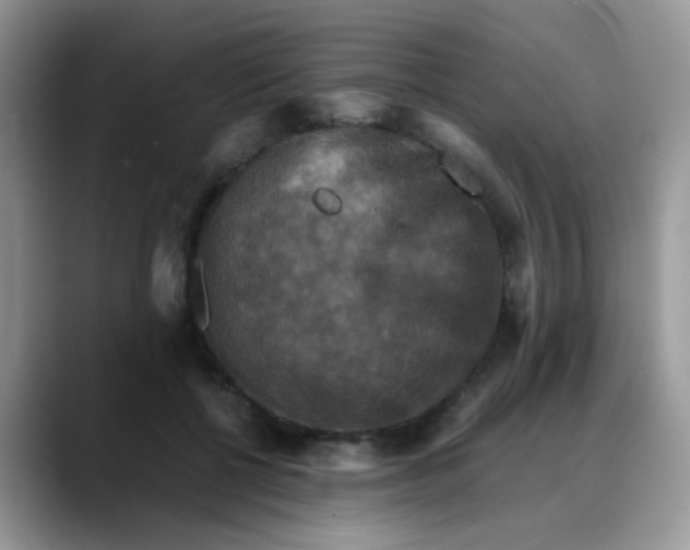 X0000088190552200705292014