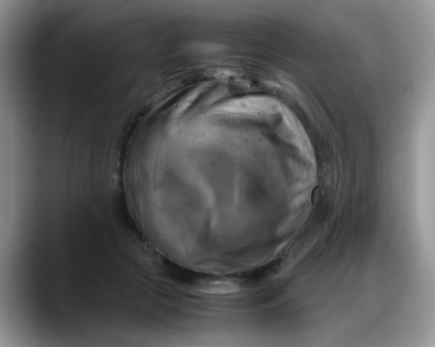 X0000088190553200705292014