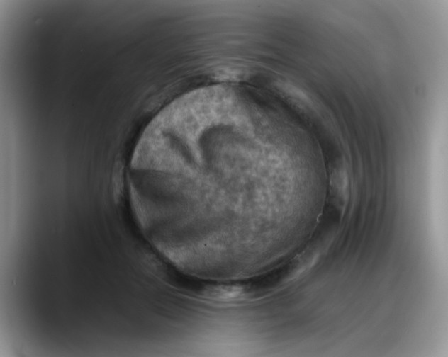 X0000088190554200705292014