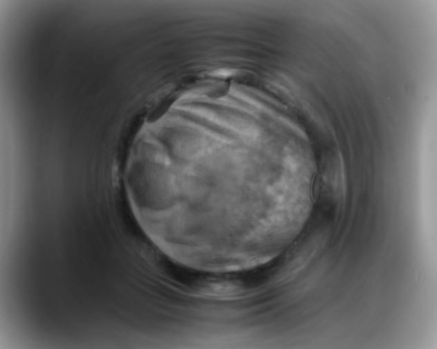 X0000088190555200705292014