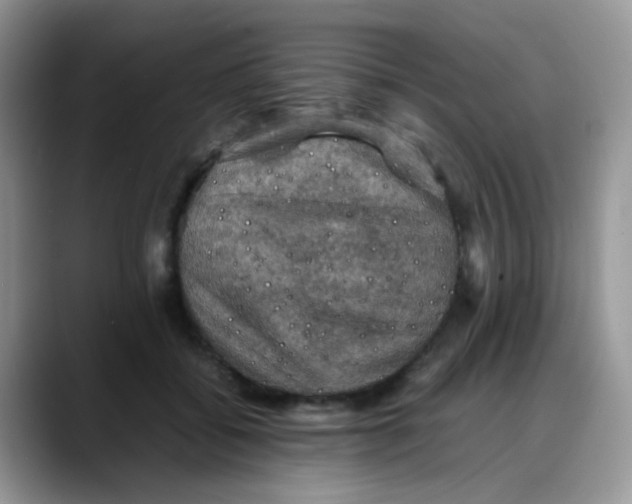 X0000088190556200705292014