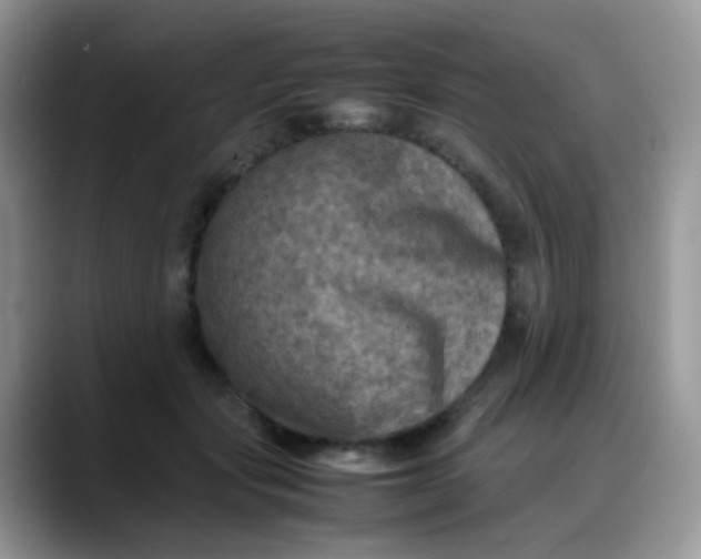 X0000088190557200705292014