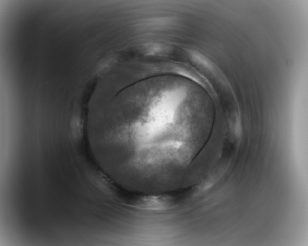 X0000088190558200705292014