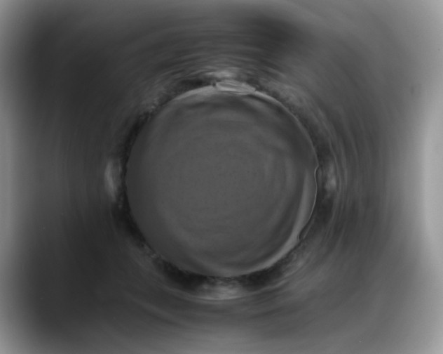 X0000088190559200705292014