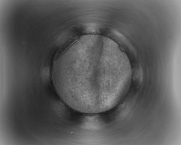 X0000088190560200705292014
