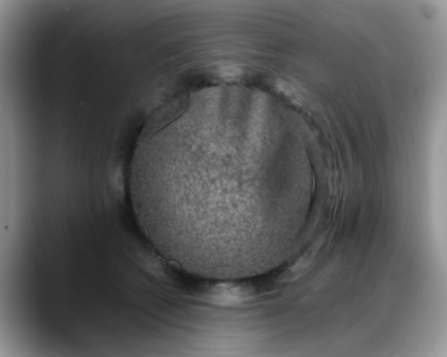 X0000088190562200705292014