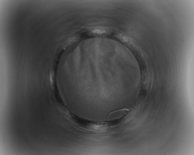 X0000088190563200705292014