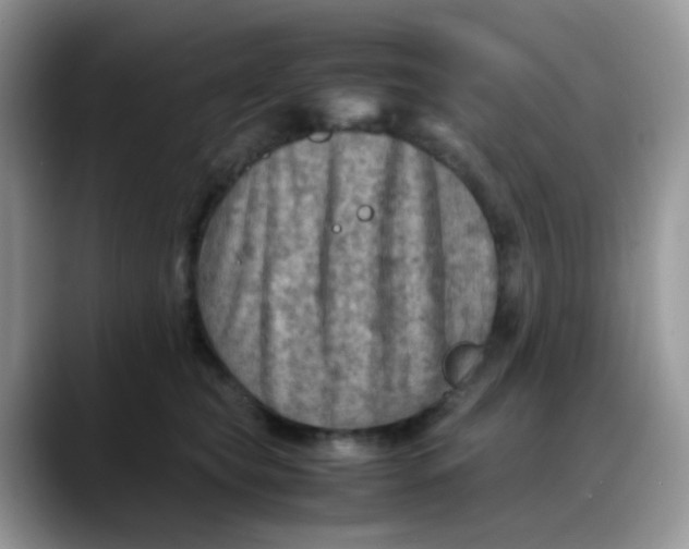 X0000088190565200705292014