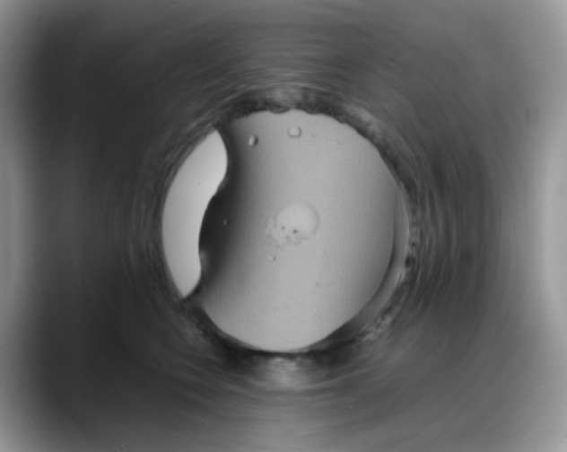 X0000088190566200705292014