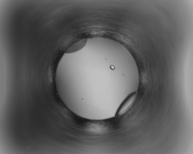 X0000088190567200705292014