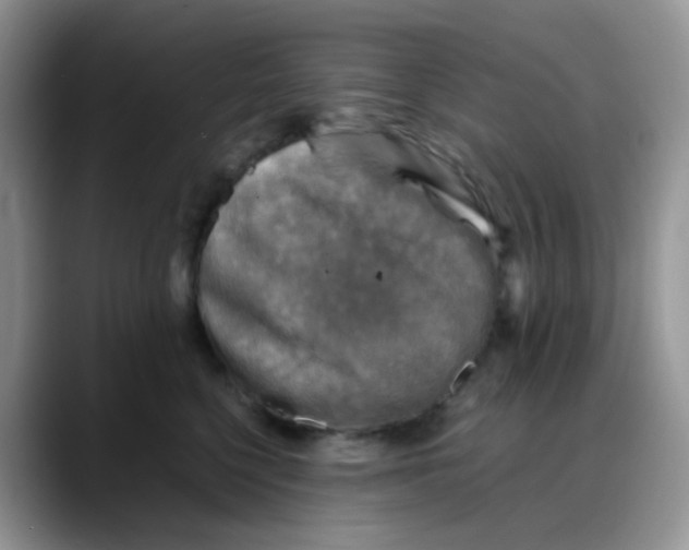 X0000088190568200705292014