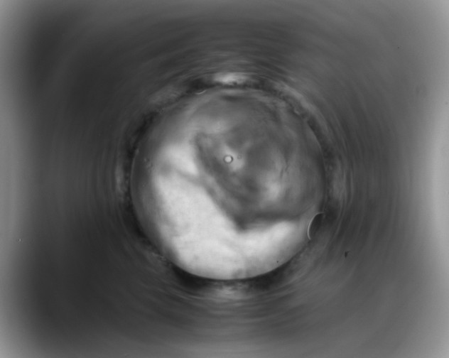 X0000088190569200705292014