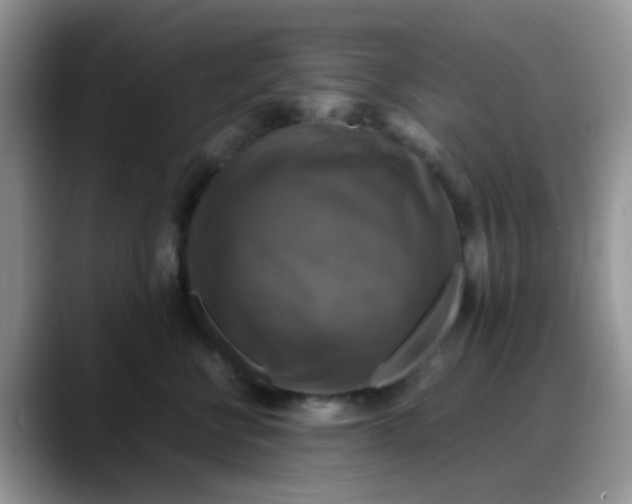 X0000088190570200705292014