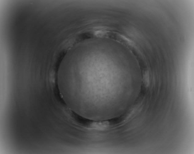 X0000088190571200705292014