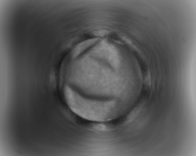 X0000088190572200705292014