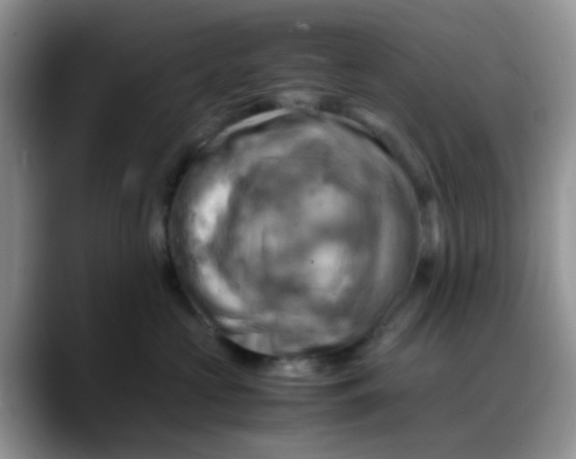 X0000088190573200705292014