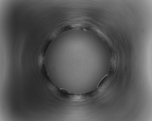 X0000088190574200705292014