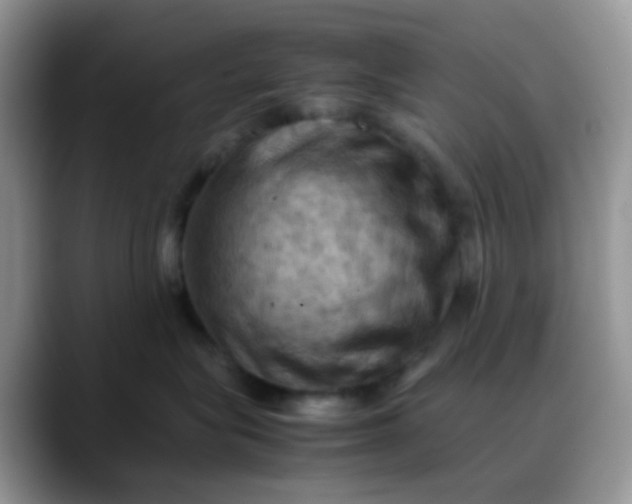 X0000088190575200705292015