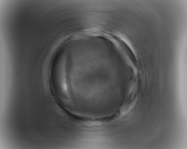 X0000088190577200705292014