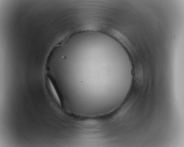 X0000088190578200705292014