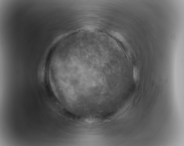 X0000088190579200705292014