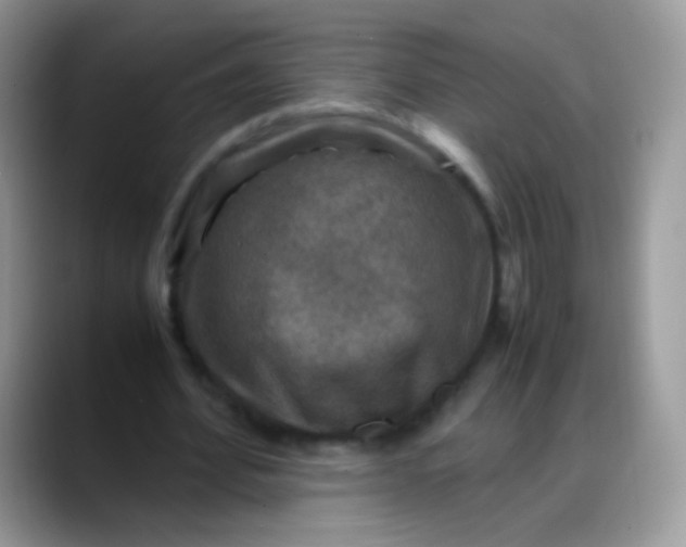 X0000088190580200705292014