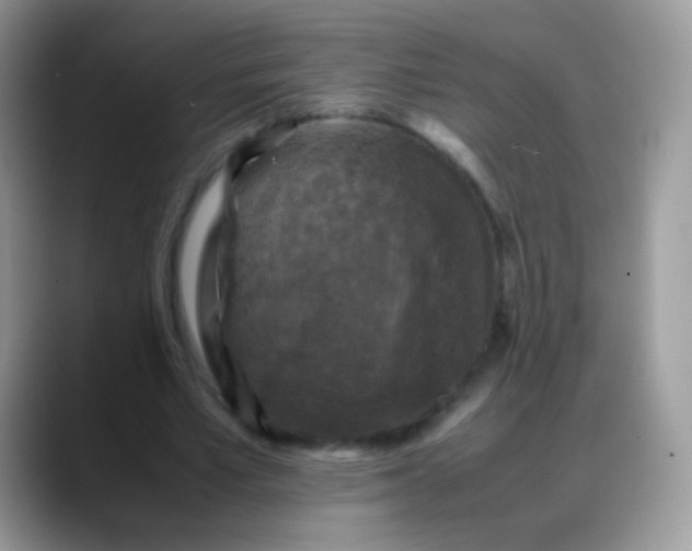 X0000088190581200705292014