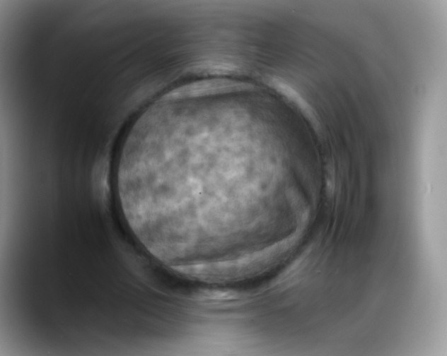 X0000088190582200705292014