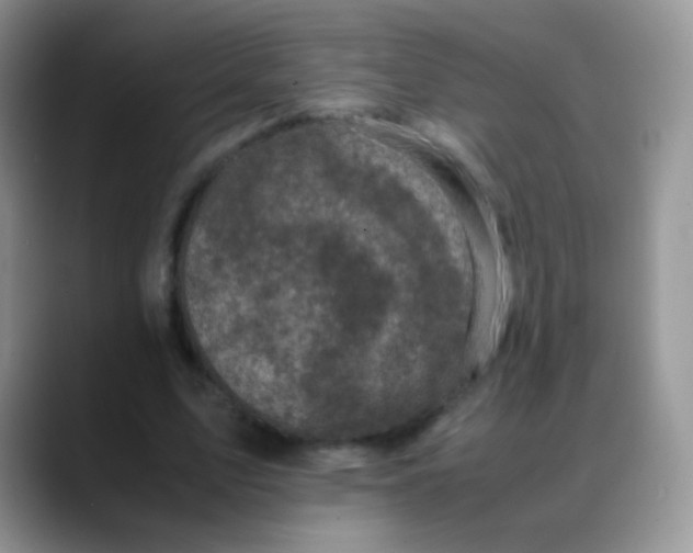 X0000088190583200705292014