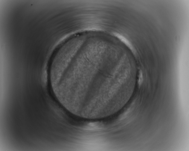 X0000088190584200705292014