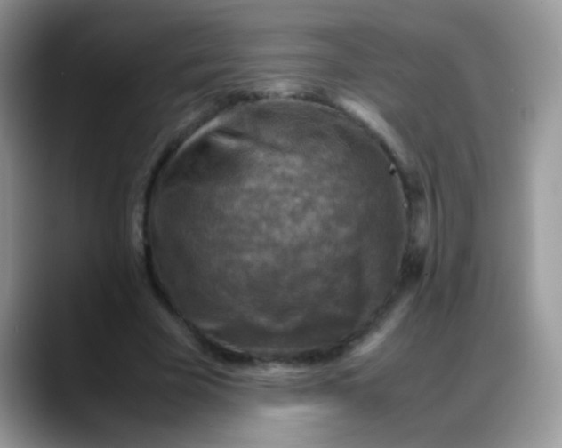 X0000088190585200705292014