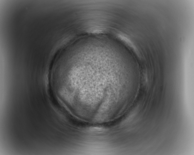X0000088190586200705292014