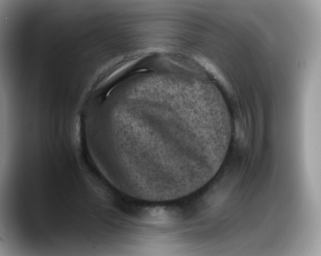 X0000088190588200705292014