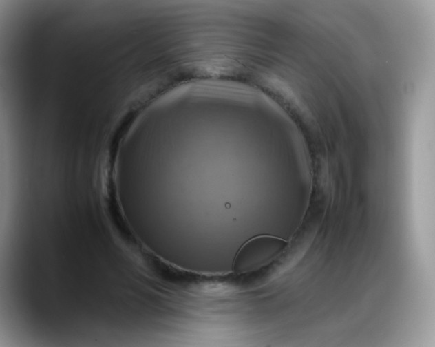 X0000088190590200705292014