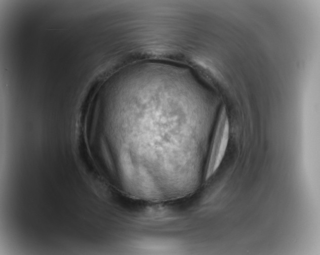 X0000088190591200705292014