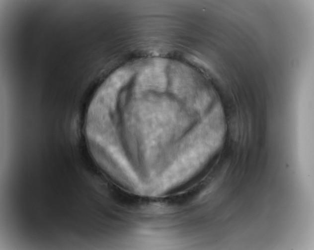 X0000088190594200705292014