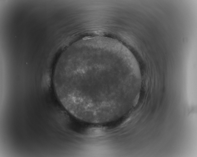 X0000088190595200705292014
