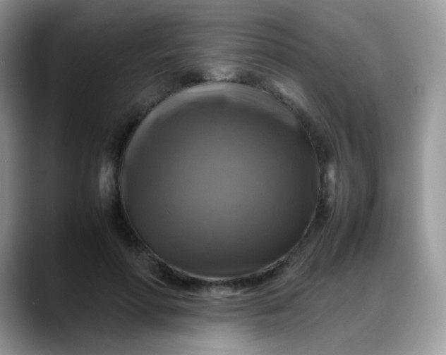 X0000088190598200705292014