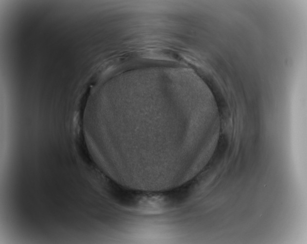 X0000088190599200705292014
