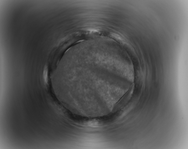 X0000088190600200705292014