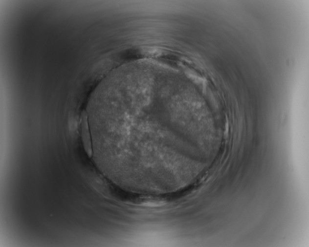 X0000088190601200705292014