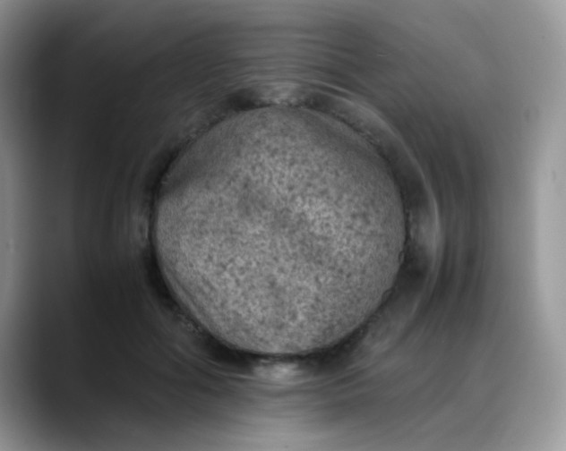 X0000088190602200705292014