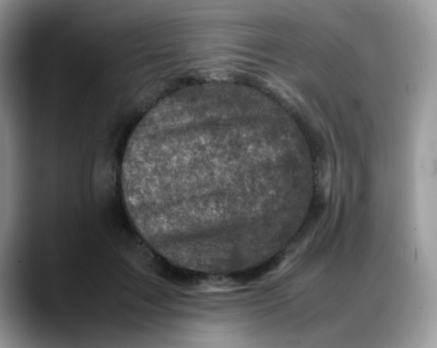 X0000088190603200705292014