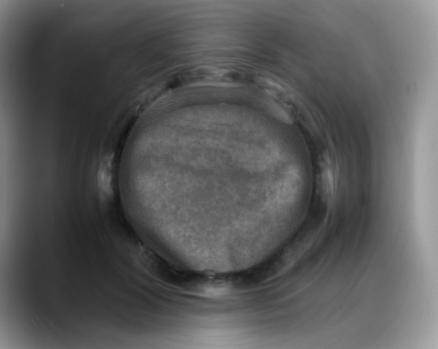 X0000088190604200705292014
