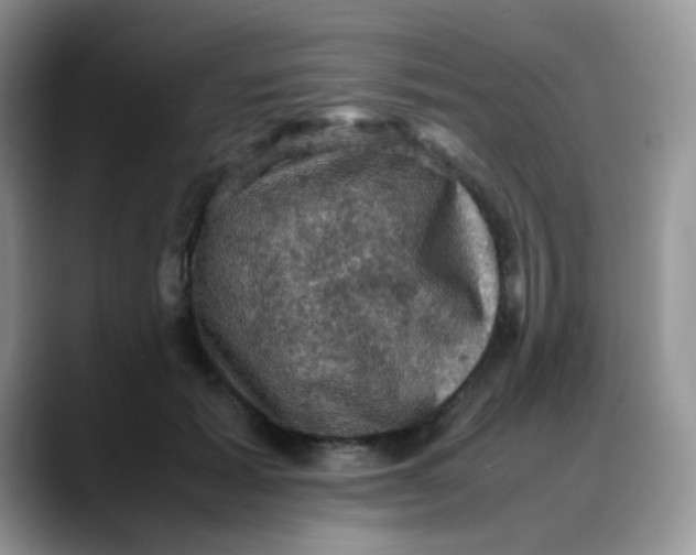 X0000088190605200705292014