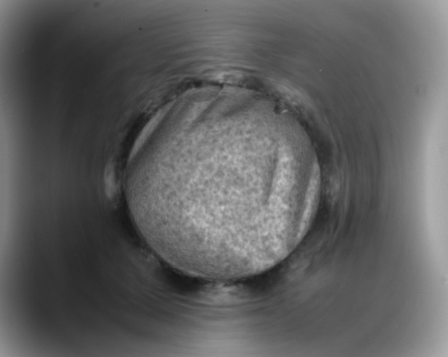 X0000088190607200705292014
