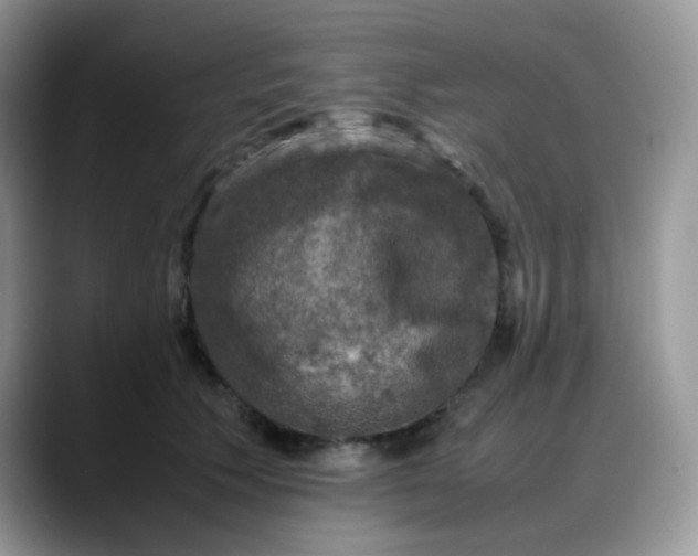 X0000088190609200705292013