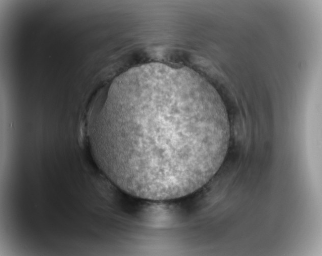 X0000088190611200705292013